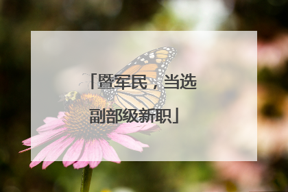暨军民，当选副部级新职