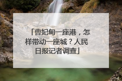 曹妃甸一座港，怎样带动一座城？人民日报记者调查