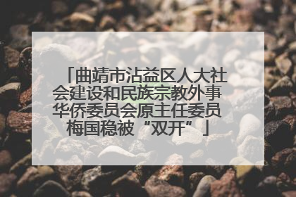 曲靖市沾益区人大社会建设和民族宗教外事华侨委员会原主任委员梅国稳被“双开”