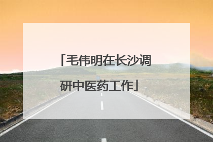 毛伟明在长沙调研中医药工作