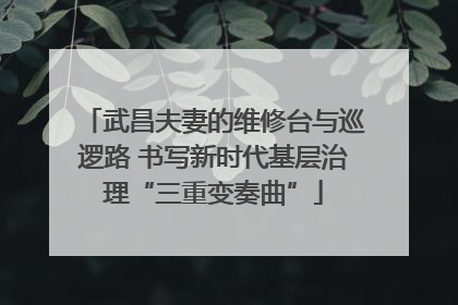 武昌夫妻的维修台与巡逻路 书写新时代基层治理“三重变奏曲”