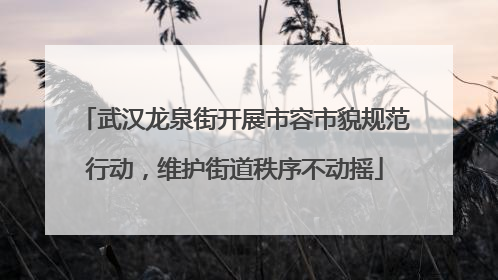 武汉龙泉街开展市容市貌规范行动，维护街道秩序不动摇