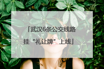 武汉6条公交线路挂“礼让牌”上线