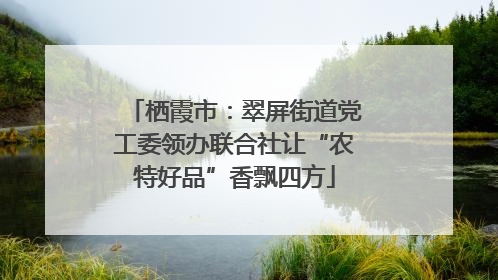 栖霞市：翠屏街道党工委领办联合社让“农特好品”香飘四方