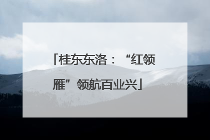 桂东东洛：“红领雁”领航百业兴