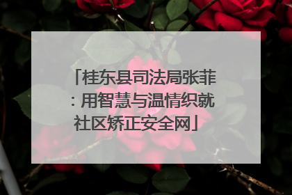 桂东县司法局张菲：用智慧与温情织就社区矫正安全网
