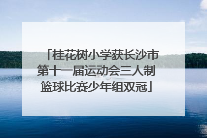 桂花树小学获长沙市第十一届运动会三人制篮球比赛少年组双冠