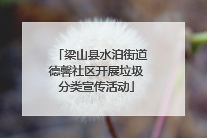 梁山县水泊街道德馨社区开展垃圾分类宣传活动
