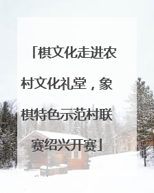 棋文化走进农村文化礼堂，象棋特色示范村联赛绍兴开赛