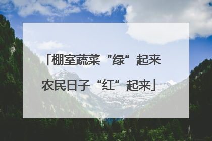 棚室蔬菜“绿”起来 农民日子“红”起来
