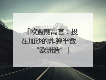 欧盟前高官：投在加沙的炸弹半数“欧洲造”