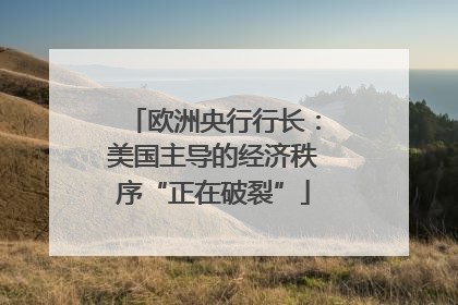 欧洲央行行长：美国主导的经济秩序“正在破裂”