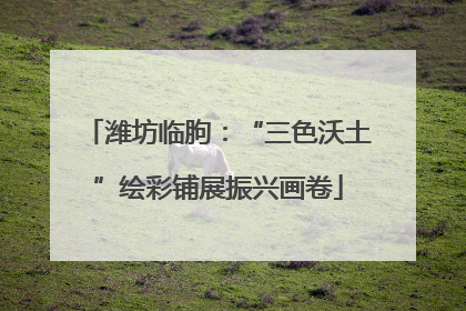 潍坊临朐：“三色沃土”绘彩铺展振兴画卷