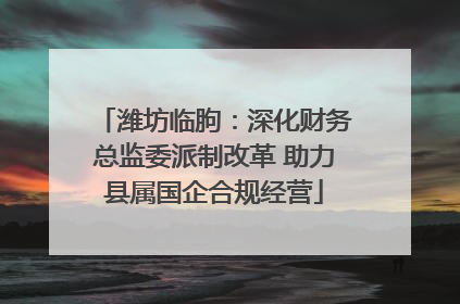 潍坊临朐：深化财务总监委派制改革 助力县属国企合规经营