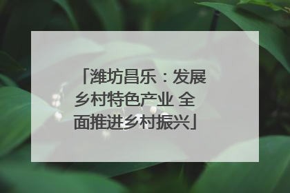 潍坊昌乐：发展乡村特色产业 全面推进乡村振兴