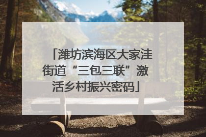 潍坊滨海区大家洼街道“三包三联”激活乡村振兴密码