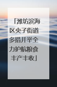 潍坊滨海区央子街道多措并举全力护航粮食丰产丰收