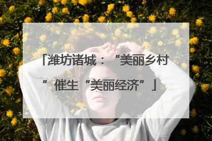 潍坊诸城：“美丽乡村”催生“美丽经济”