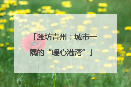 潍坊青州：城市一隅的“暖心港湾”