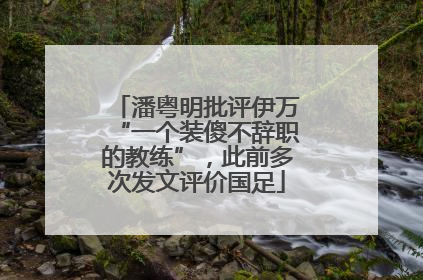 潘粤明批评伊万“一个装傻不辞职的教练”，此前多次发文评价国足