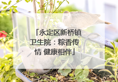 永定区新桥镇卫生院：粽香传情 健康相伴