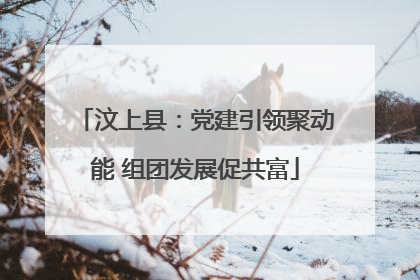 汶上县：党建引领聚动能 组团发展促共富