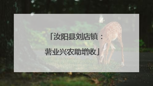 汝阳县刘店镇：薯业兴农助增收