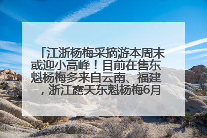 江浙杨梅采摘游本周末或迎小高峰！目前在售东魁杨梅多来自云南、福建，浙江露天东魁杨梅6月中旬大量上市