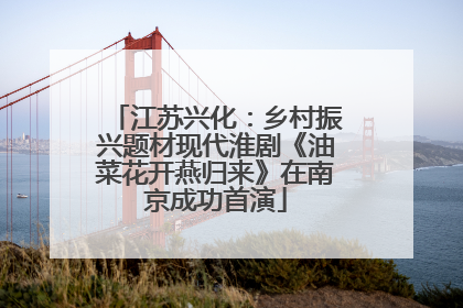 江苏兴化：乡村振兴题材现代淮剧《油菜花开燕归来》在南京成功首演