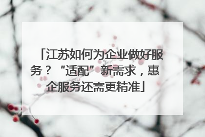 江苏如何为企业做好服务？“适配”新需求，惠企服务还需更精准