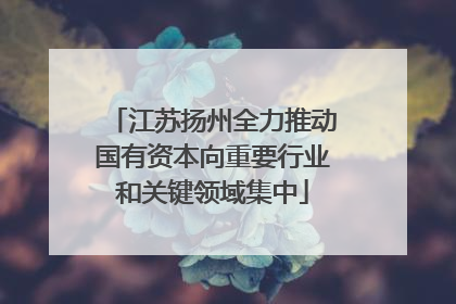 江苏扬州全力推动国有资本向重要行业和关键领域集中