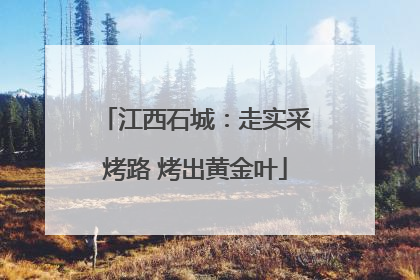 江西石城：走实采烤路 烤出黄金叶