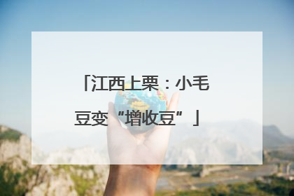 江西上栗：小毛豆变“增收豆”