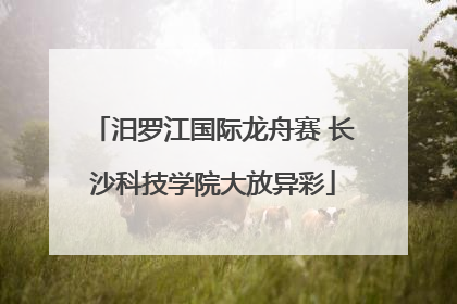 汨罗江国际龙舟赛 长沙科技学院大放异彩