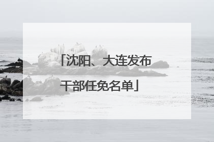沈阳、大连发布干部任免名单