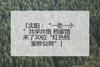 沈阳：“一老一小”共学共悟 档案馆来了30位“红色档案修复师”