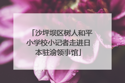 沙坪坝区树人和平小学校小记者走进日本驻渝领事馆