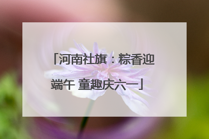 河南社旗：粽香迎端午 童趣庆六一