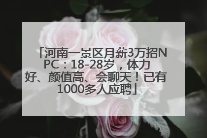 河南一景区月薪3万招NPC：18-28岁，体力好、颜值高、会聊天！已有1000多人应聘