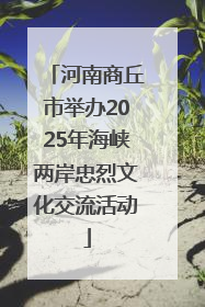 河南商丘市举办2025年海峡两岸忠烈文化交流活动