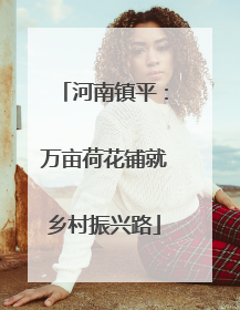 河南镇平：万亩荷花铺就乡村振兴路
