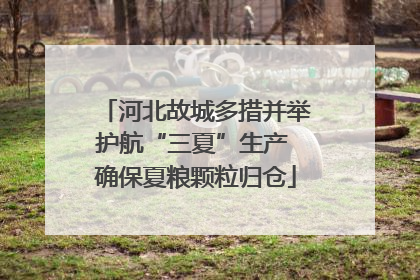 河北故城多措并举护航“三夏”生产 确保夏粮颗粒归仓