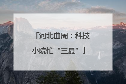 河北曲周：科技小院忙“三夏”