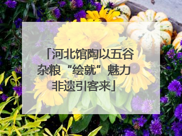 河北馆陶以五谷杂粮“绘就”魅力非遗引客来