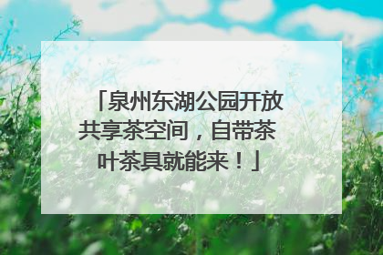 泉州东湖公园开放共享茶空间，自带茶叶茶具就能来！