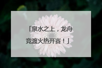 泉水之上，龙舟竞渡火热开赛！