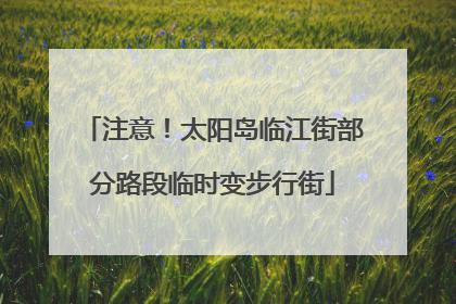 注意！太阳岛临江街部分路段临时变步行街