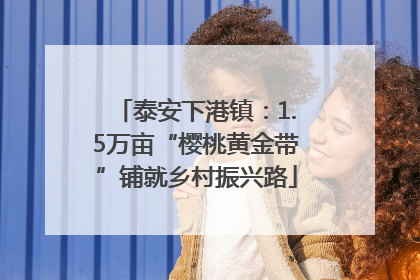 泰安下港镇：1.5万亩“樱桃黄金带”铺就乡村振兴路