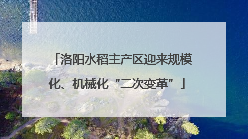 洛阳水稻主产区迎来规模化、机械化“二次变革”