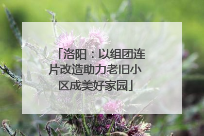 洛阳：以组团连片改造助力老旧小区成美好家园